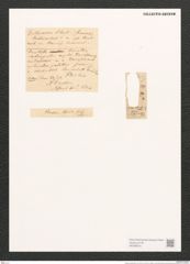 Dickieia ulvacea Berk. (de-Toni-Nr.: Genus 22, Species 1239) Zeichnungen Sammlung Grunow (NHMW-BOT-W0369516)